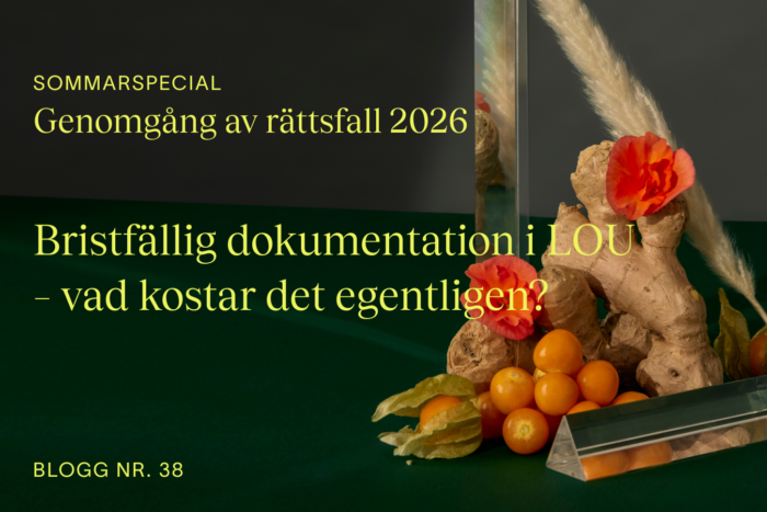 Sommarspecial, genomgång av rättsfall 2026: Upphandlingsblogg 38 - Bristfällig dokumentation i LOU – vad kostar det egentligen? med Linus Lundberg